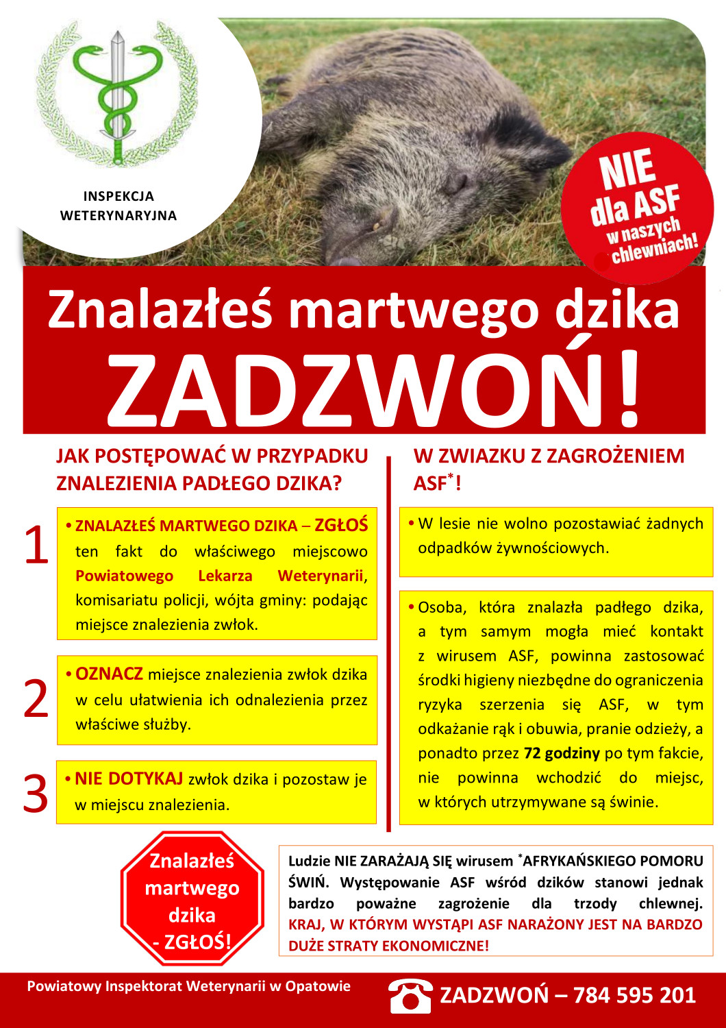Ulotka z informacjami