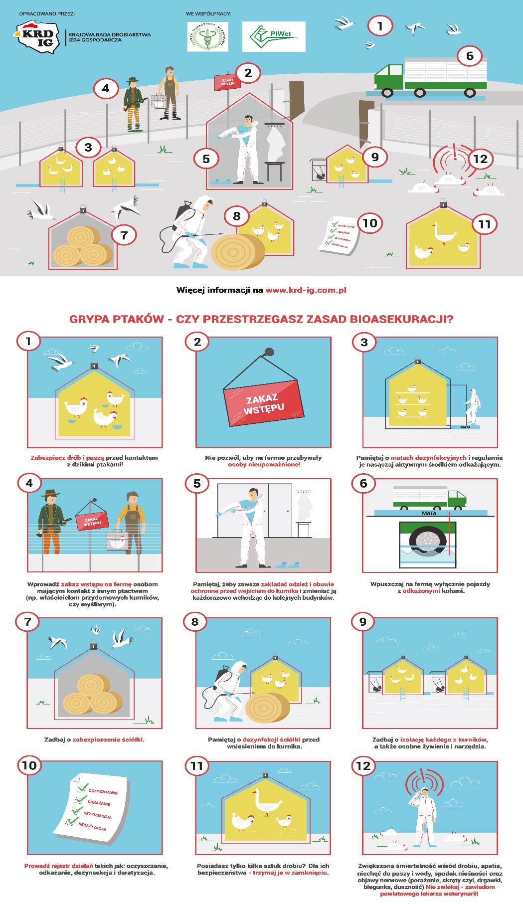 Grafika 2 - Grypa ptaków - informacje ogólne