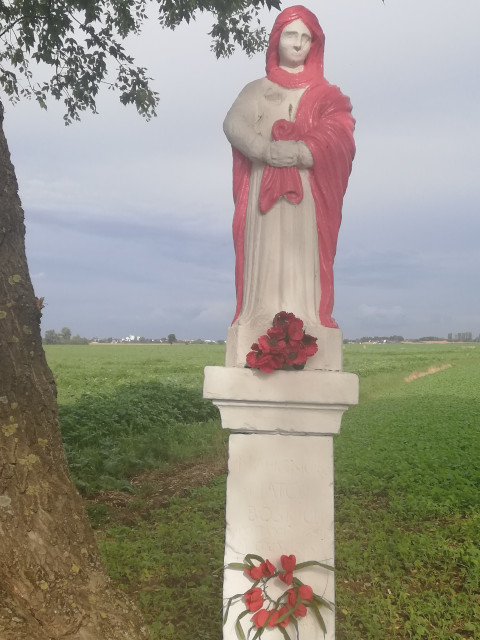 Figurka Matki Boskiej z napisem mało czytelnym „Honor Matki Boskiej” usytuowana przy drodze dojazdowej do pól od drogi krajowej Nr 74 w miejscowości Kunice do drogi powiatowej Nr 0728T w miejscowości Wojciechowice po prawej stronie w kierunku Wojciechowic