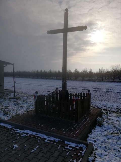 Krzyż drewniany usytuowany przy drodze gminnej Nr 004515T Kaliszany - Koszyce przy świetlicy